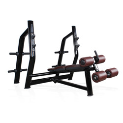 BFT2043 Commercial Fitness Equipment Sport Machine Decline Bench