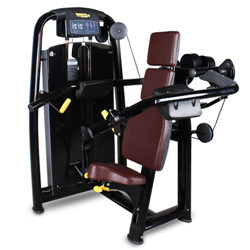 BFT2018 Commercial Delts Machine Gym Delts Machine for Club
