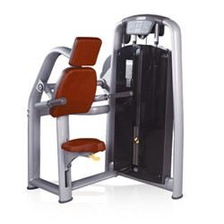 BFT<font color='red'>2001</font>b Wholesale Triceps Dip Machine Gym Equipment Factory