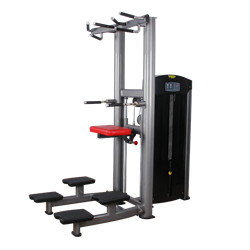 BFT3014 Best Selling Fitness Machine Assisted Chin Dip Fitness Factory