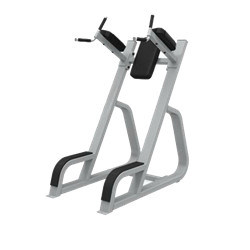 BFT3050 Wholesale Leg Raise | Chin & Dip Chin Dip Leg Raise Abdominal Machine