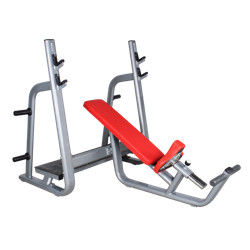 BFT3031 Top Saling Crossfit Equipment/Olympic Bench Incline Rack For Sale