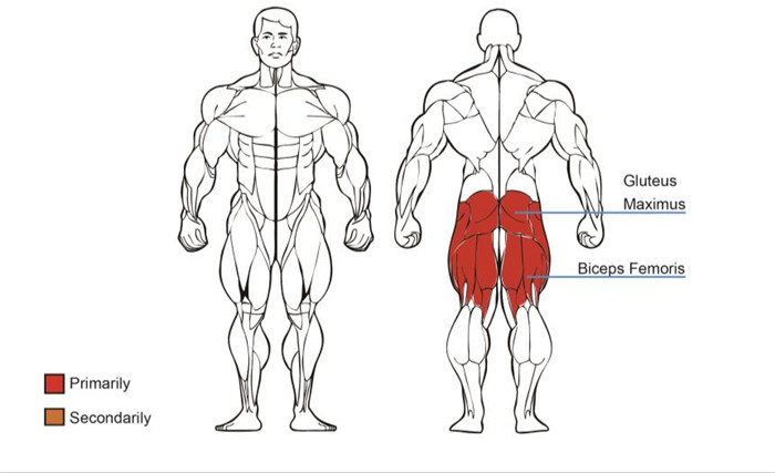 Standing Leg Extension Machine