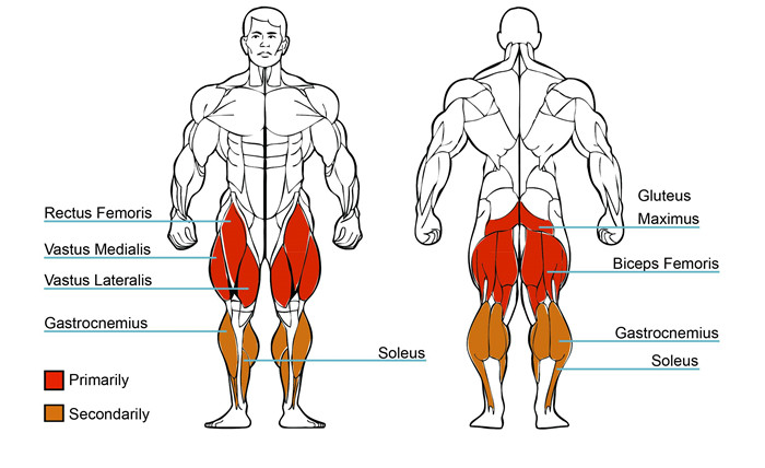 Multi Hip Machine For Gym Use