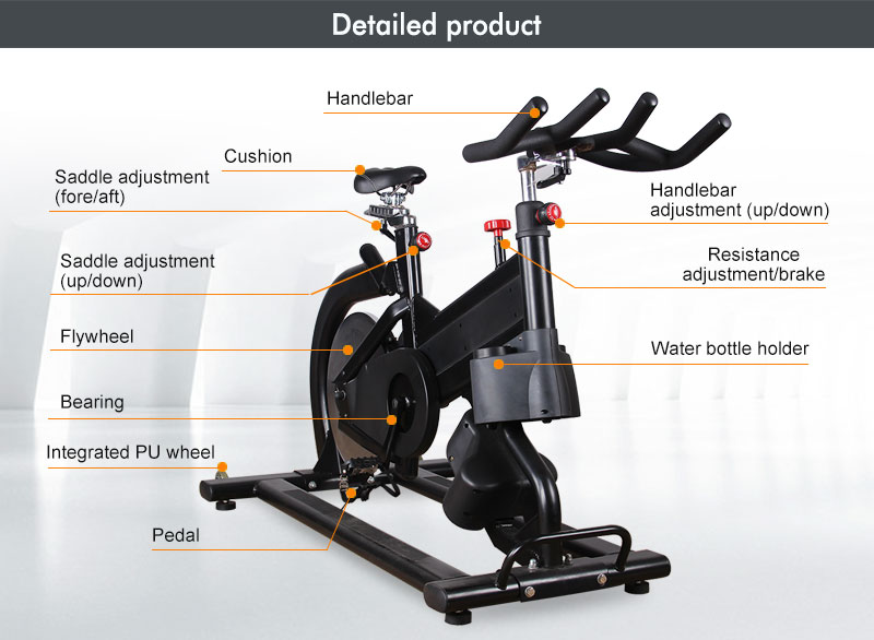Wholesale Swing Spin Bike