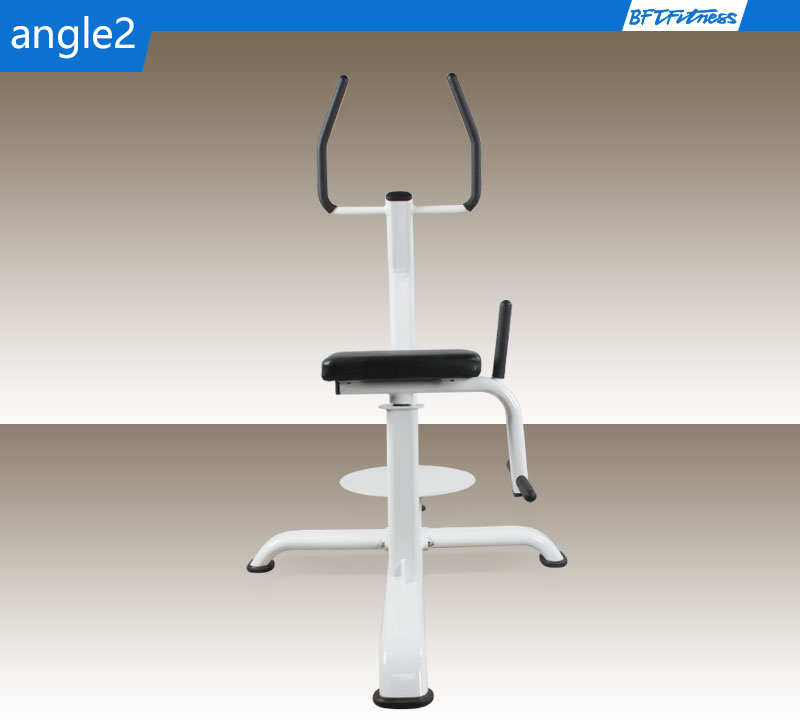 Double Twister gym equipment