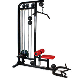 BFT3069B Dual Pulldown Row Machine For Sale