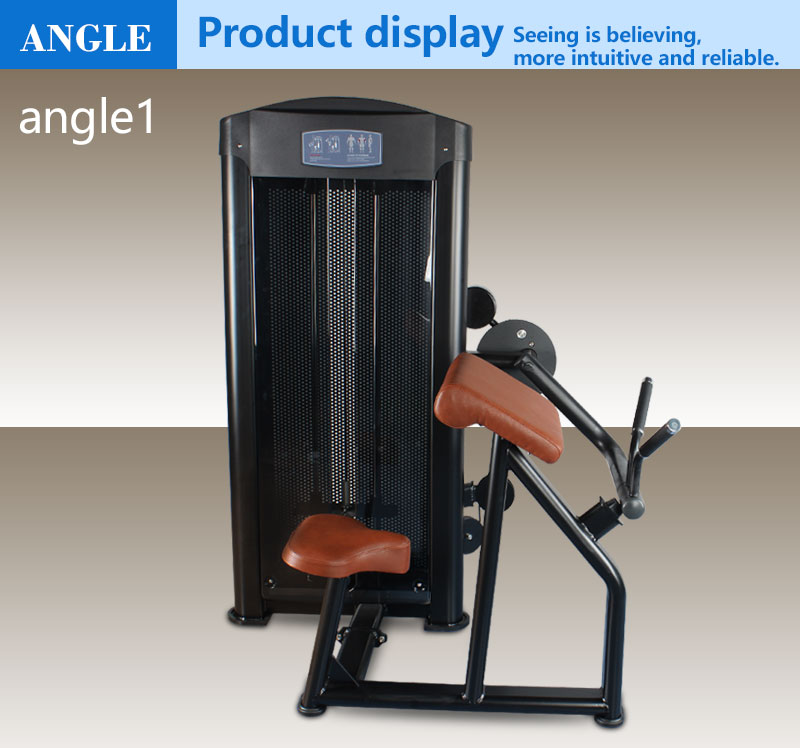 wholesale Seated Biceps Curl Machine