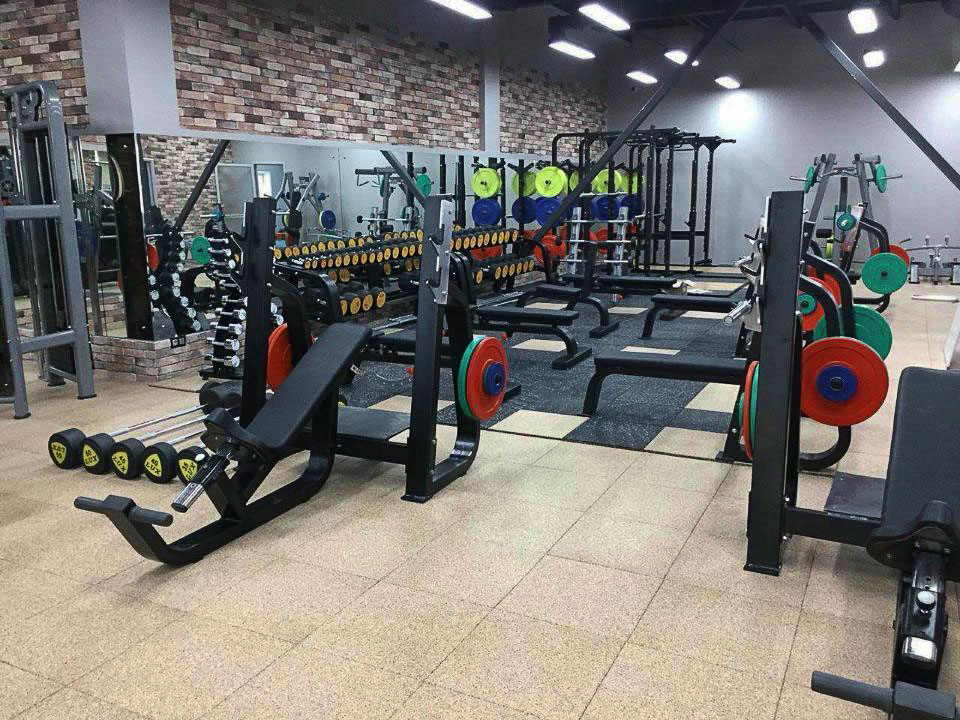 bft fitness equipment