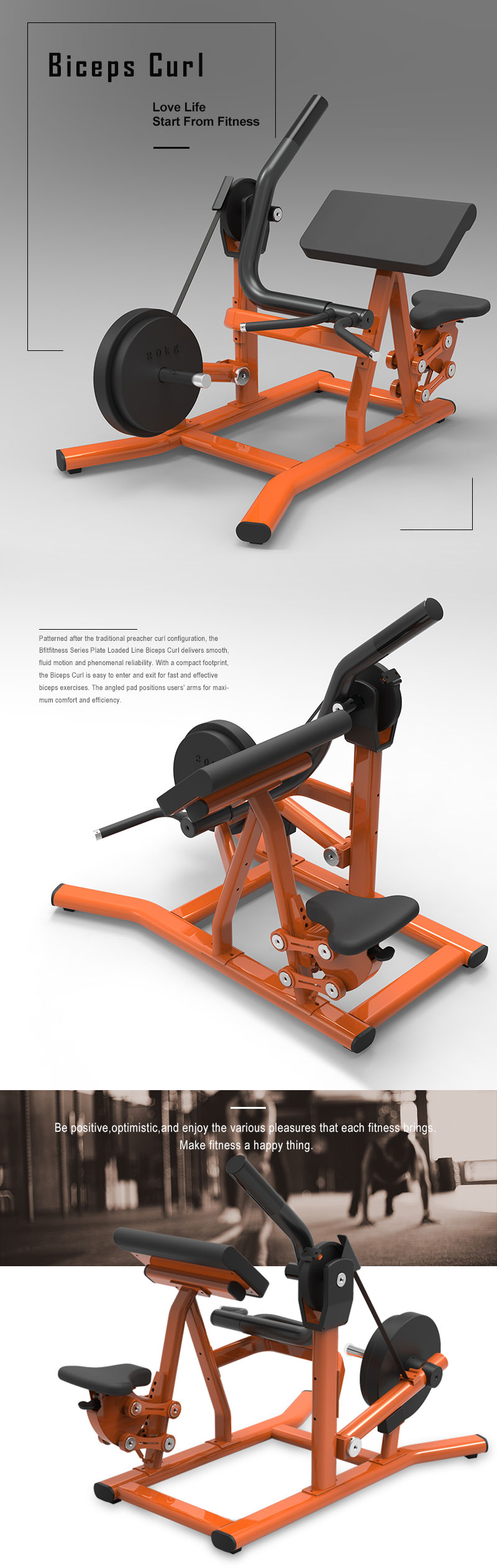 Biceps Curl Machine