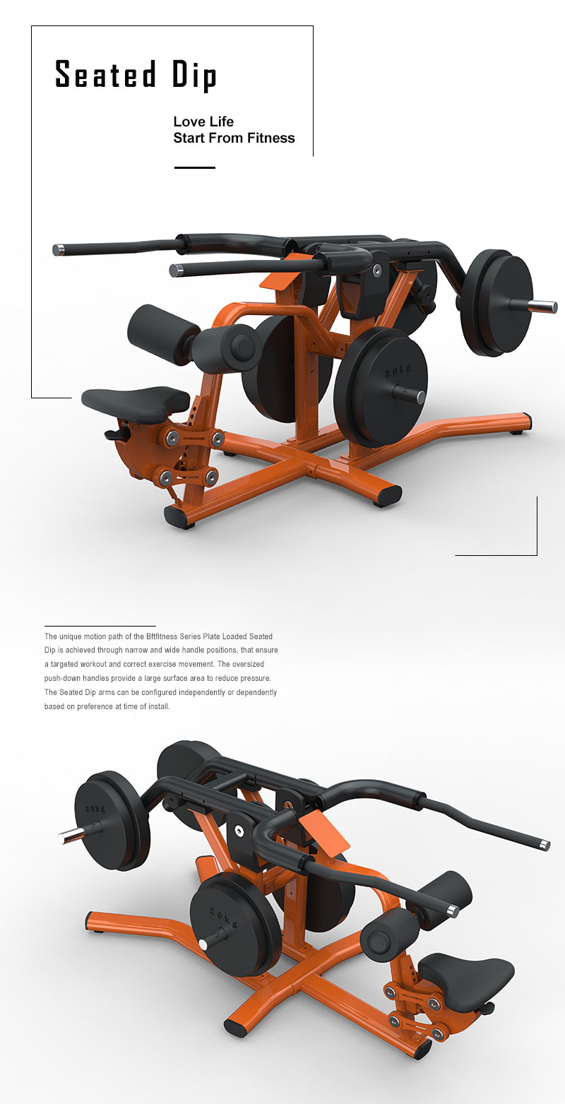 Plate loaded sales tricep dip machine