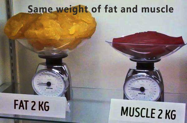 Body fat percentage and fitness