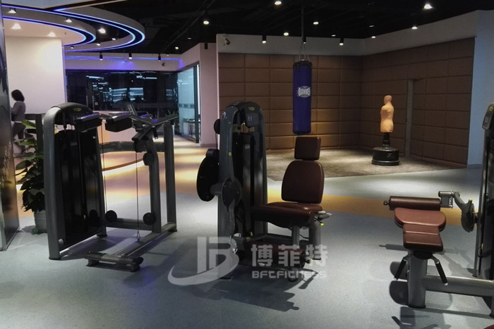 Shenzhen customer's gym.BFT fitness equipment case