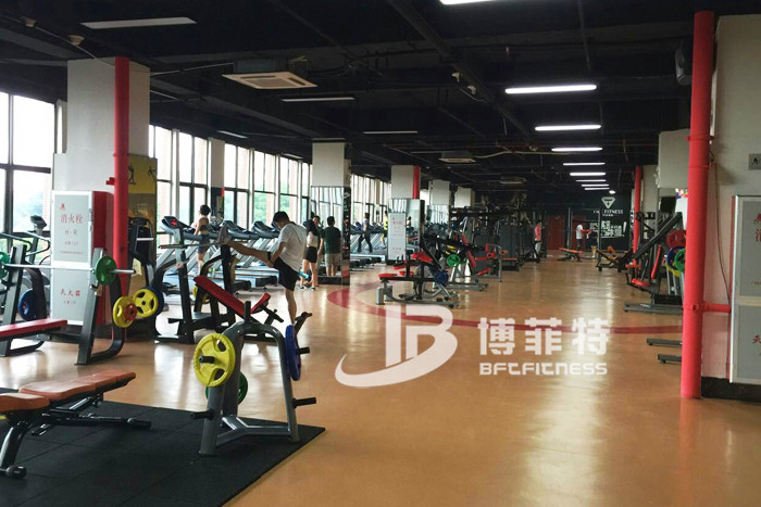 Gym fitness club from Guamgzhou.BFT fitness equipment case